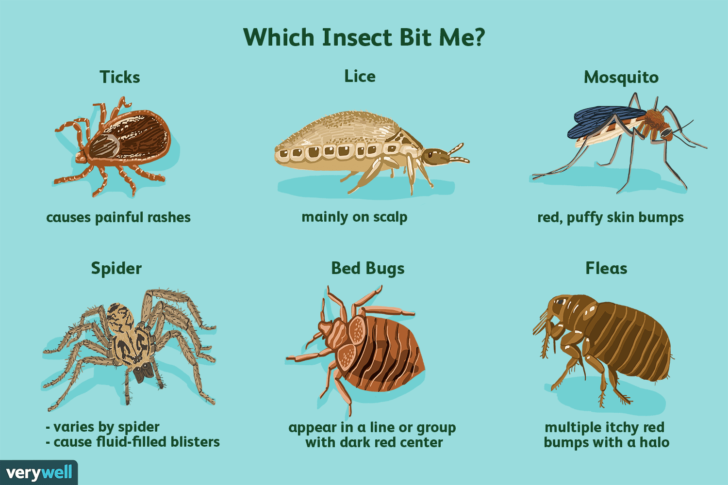 Ursachen von Insektenstichen